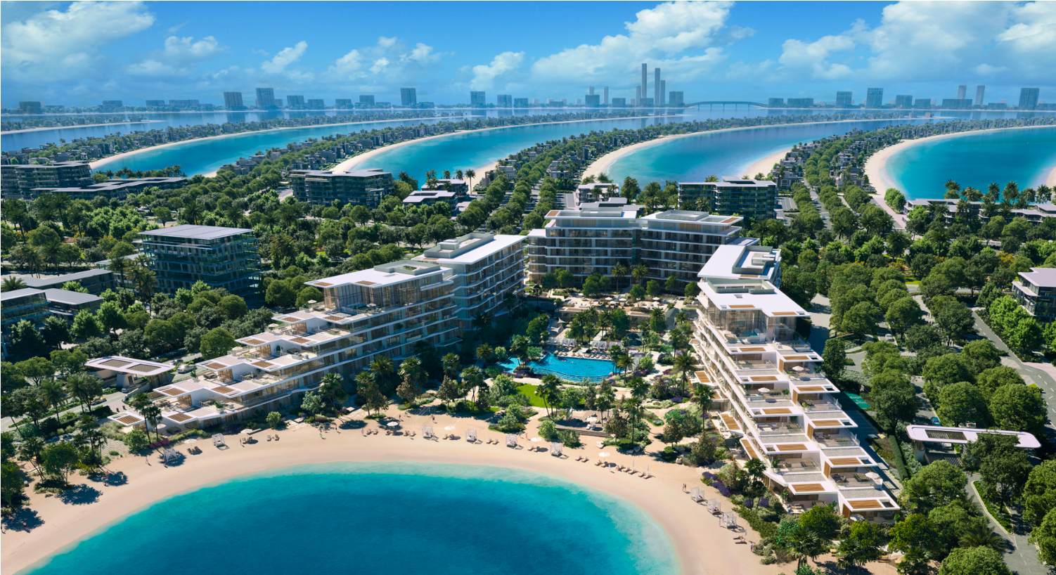 Palm Central Featured