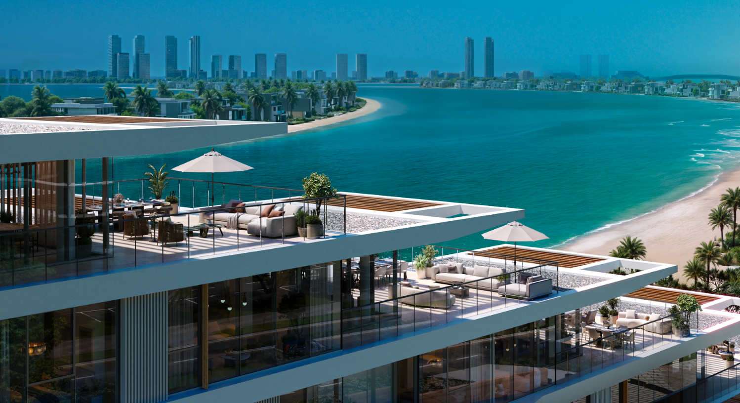 Palm Central Thumb 1